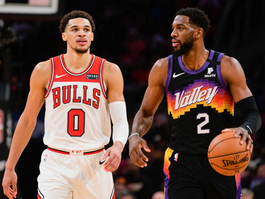 来提供了保 来提供了保