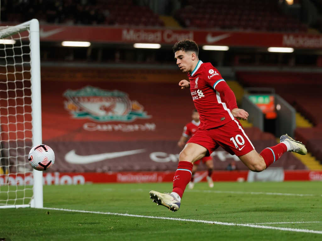 們提供了一 們提供了一