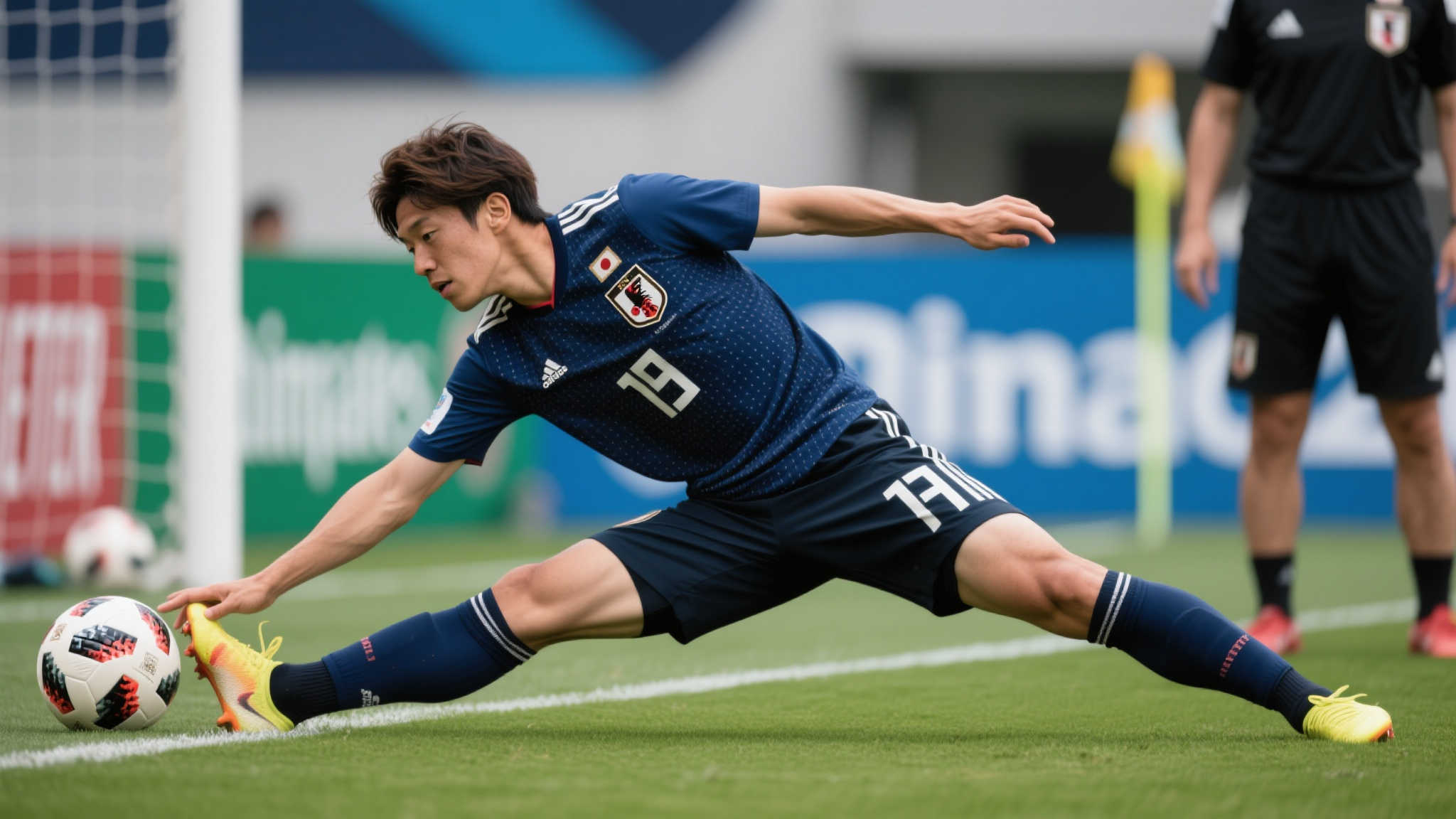 我们看到了 我们看到了